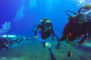 dive, luxury concierge services ibiza